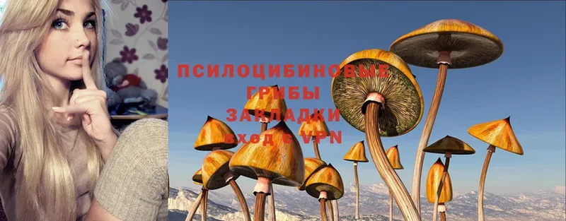 Псилоцибиновые грибы MAGIC MUSHROOMS  Северо-Курильск 